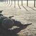 Soldiers test their marksmanship skills in All Army