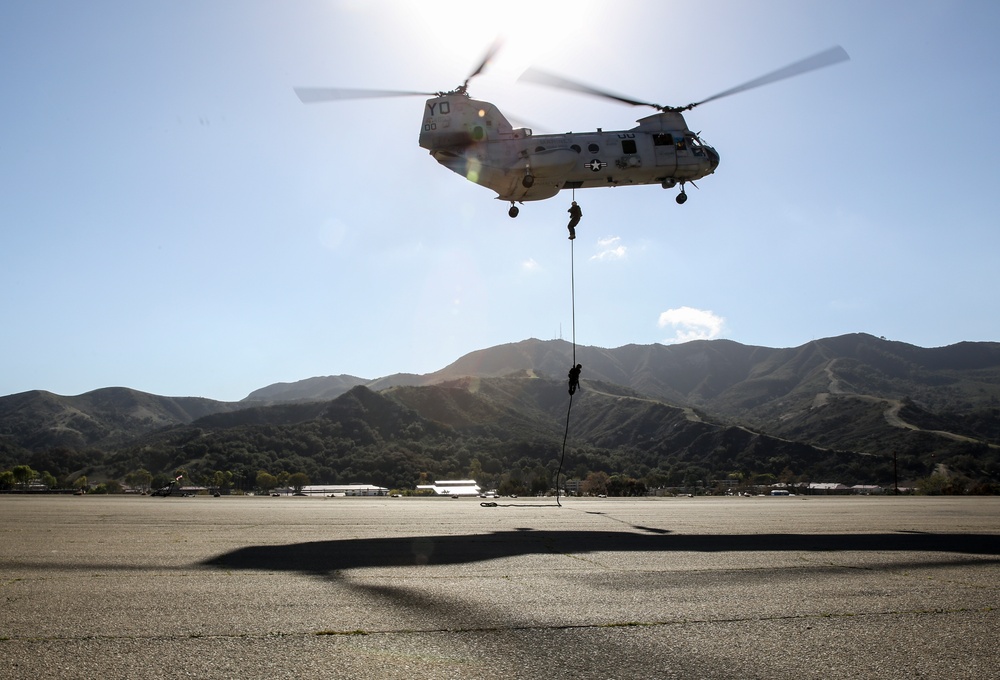 Marine train JGSDF on fast rope