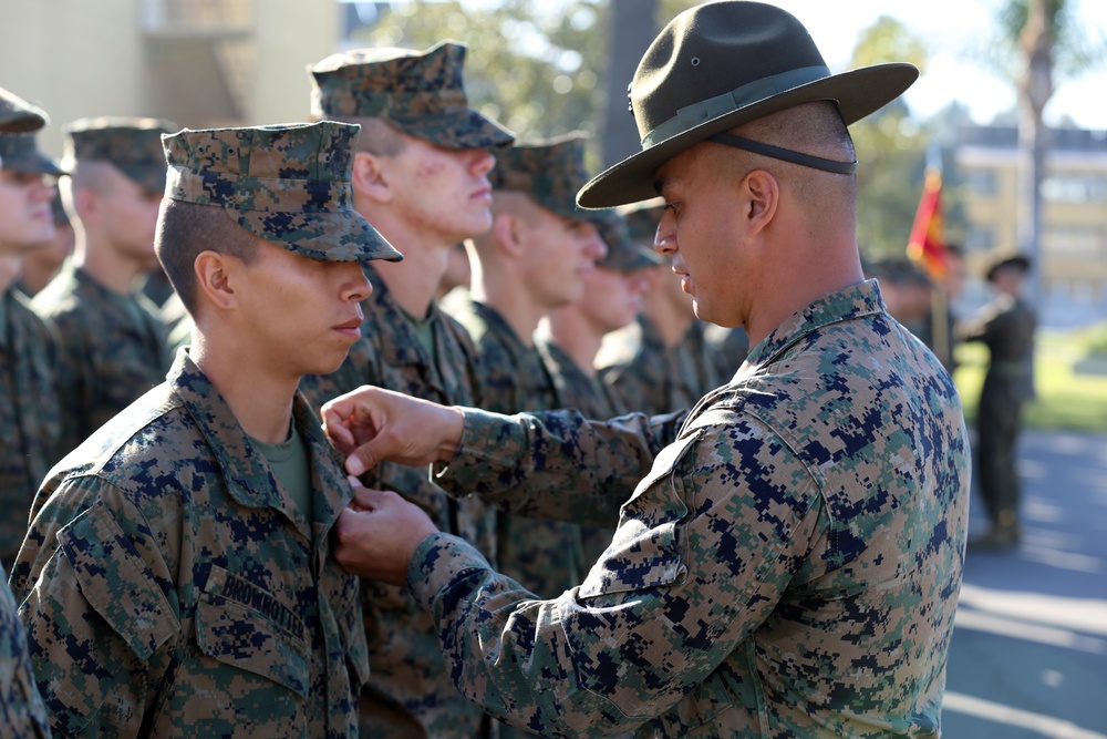 Marines rewarded for hard work