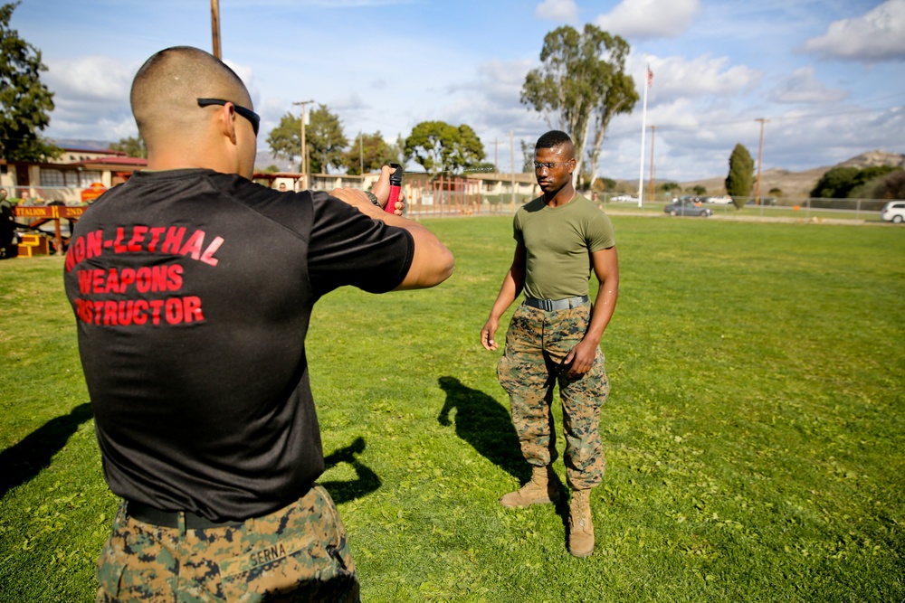 Marines prepare for 31st MEU with escalation of force training