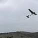 Eyes in the sky: 1st MLG Marine trains with UAVs