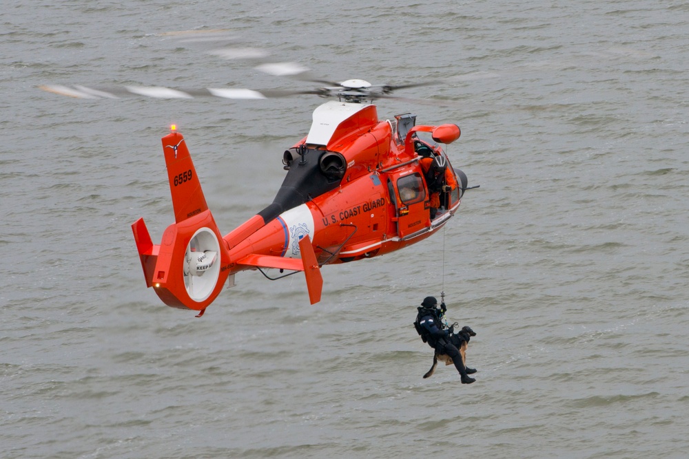 Coast Guard conducts K-9 hoist training