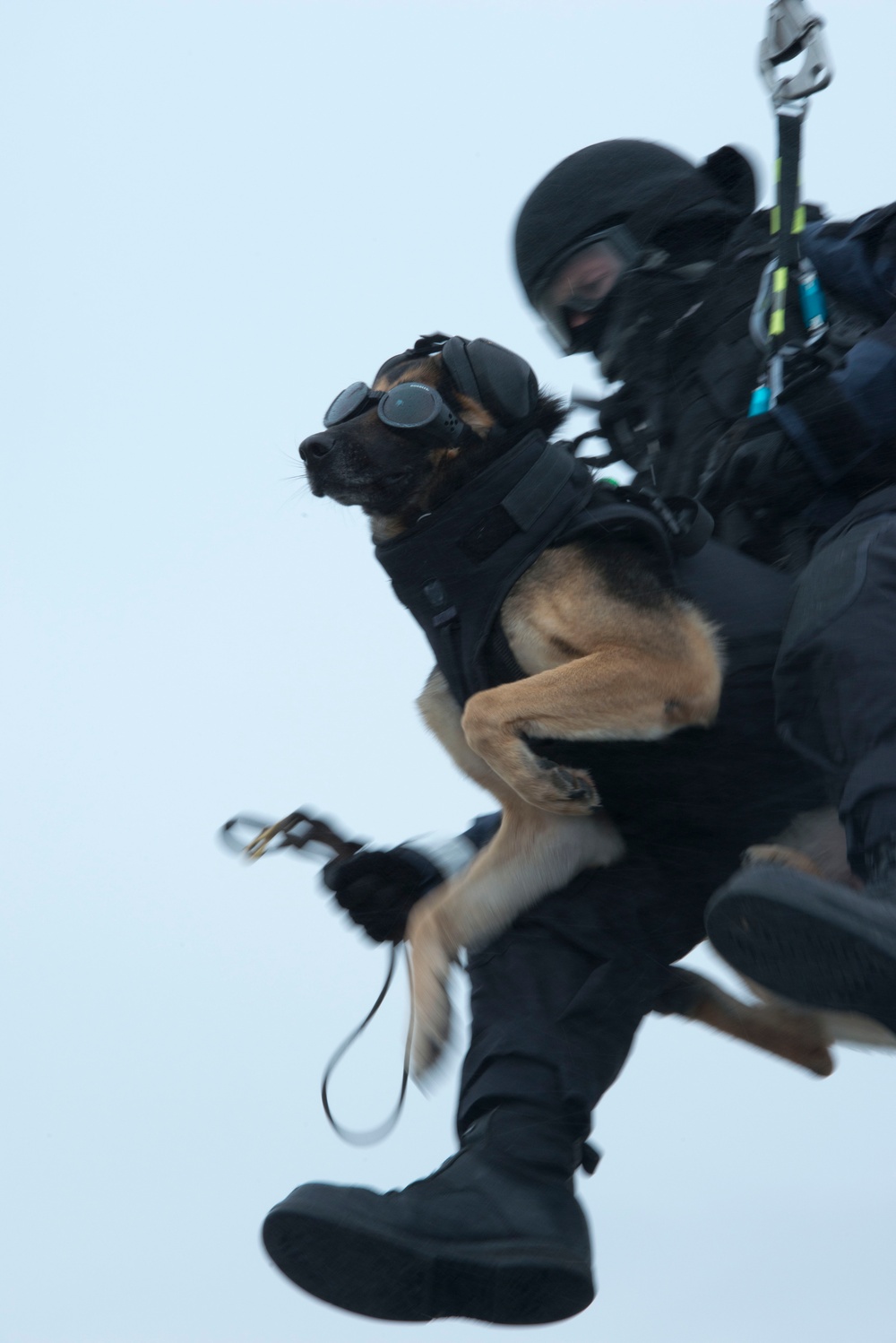 Coast Guard conducts K-9 hoist training