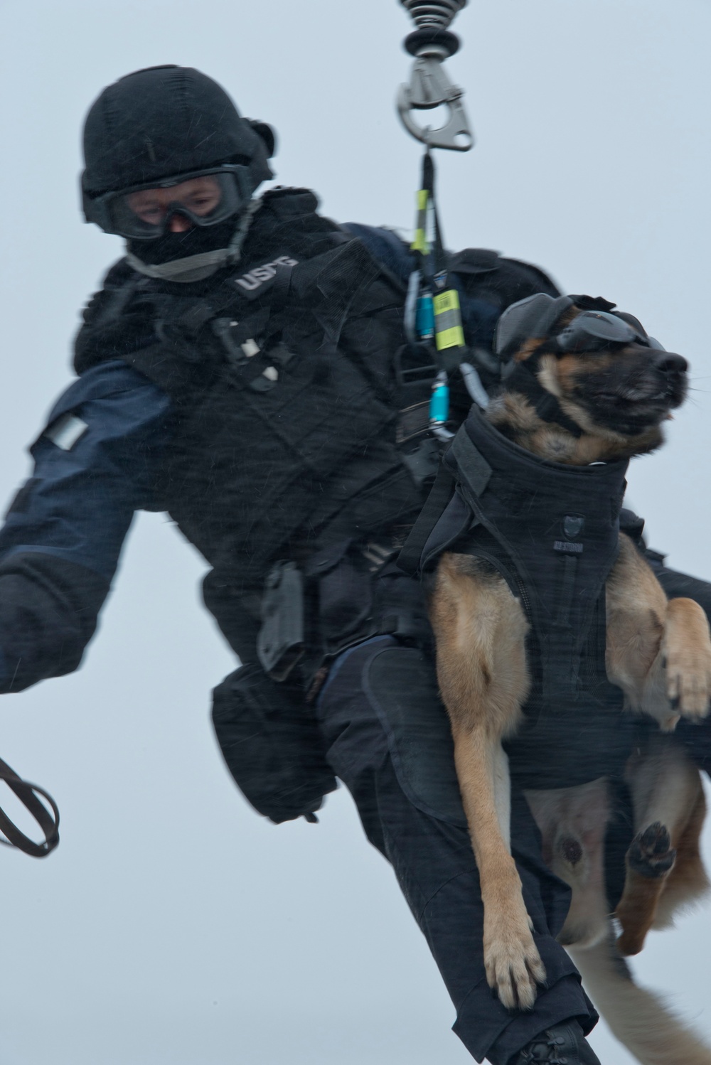 Coast Guard conducts K-9 hoist training