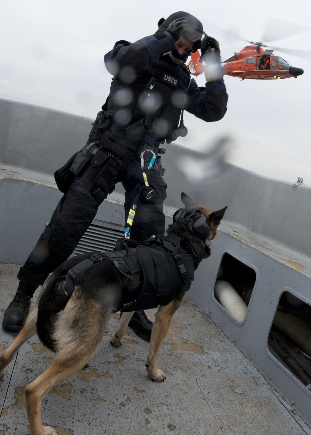 Coast Guard conducts K-9 hoist training