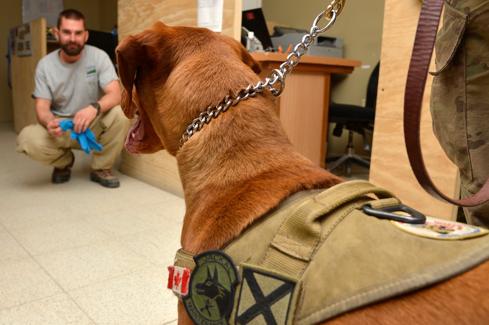 Maj. Eden brings major joy to service members