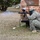 Paintball enhances realism in Army Reserve unit’s training
