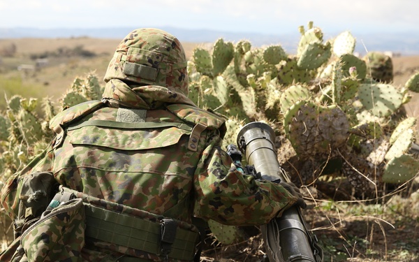 1/1, JGSDF conduct training for Iron Fist