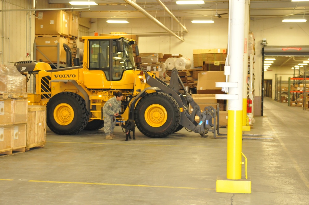 Military Working Dog teams prepare for certification for real world missions at home and abroad