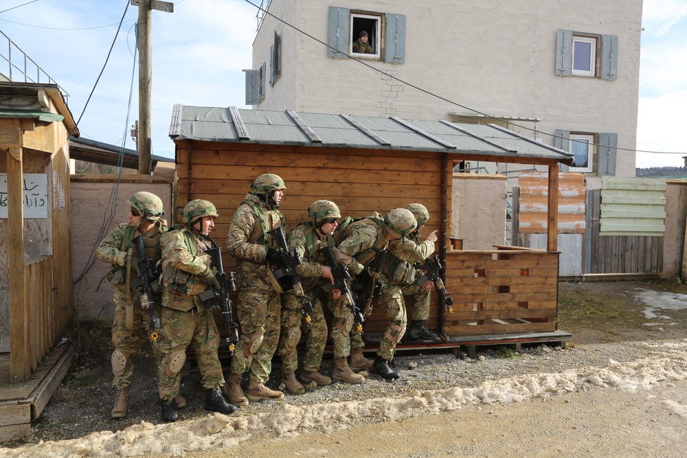 Georgian mission rehearsal exercise