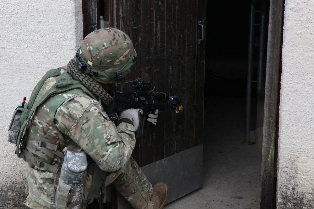 Georgian mission rehearsal exercise