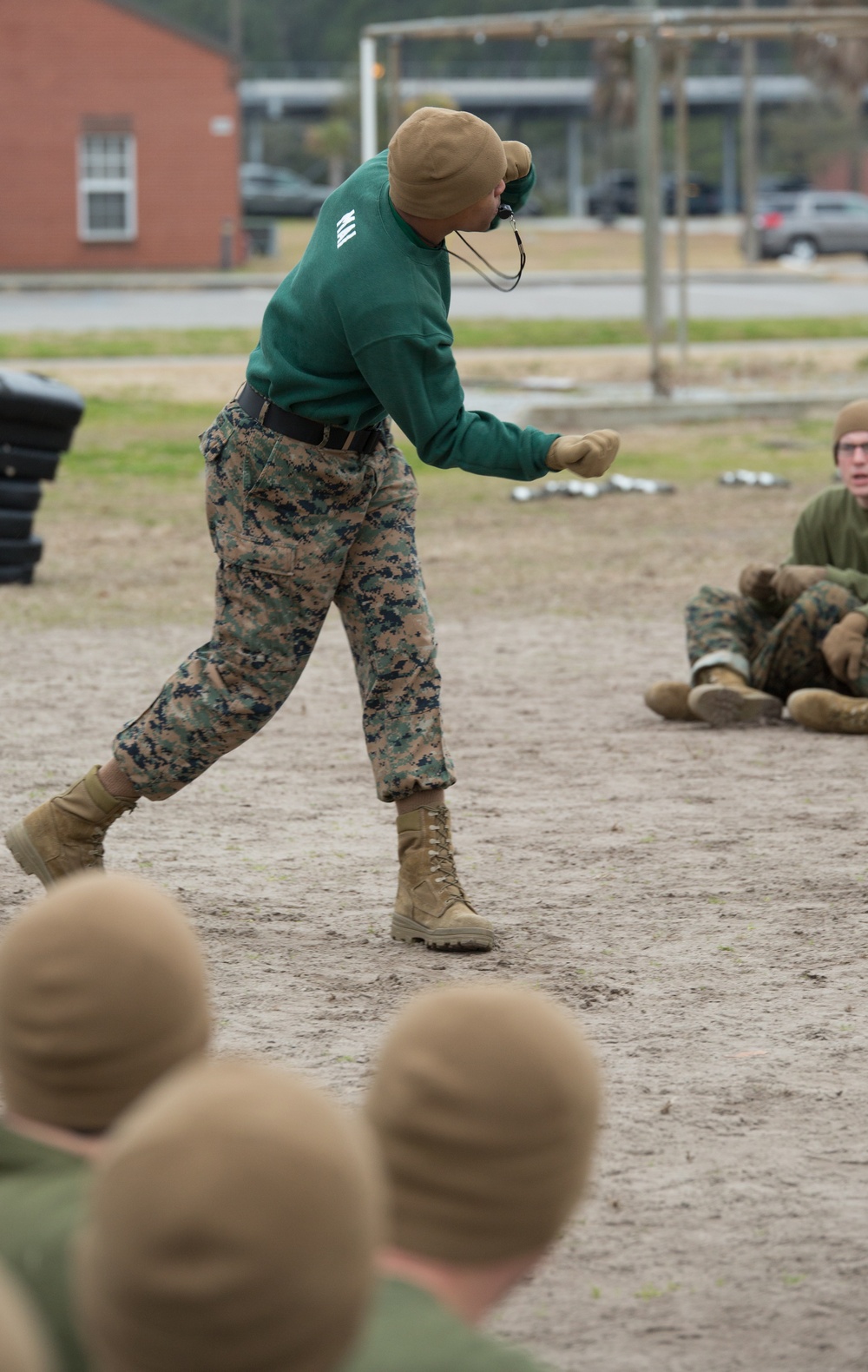Parris Island recruits strike blows during Marine Corps martial arts training