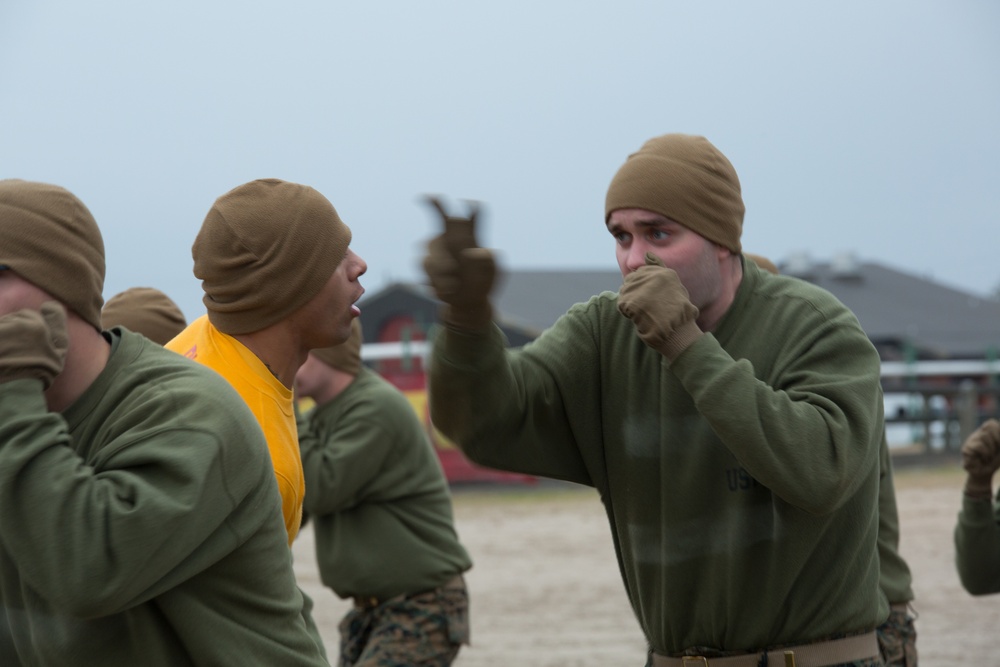 Parris Island recruits strike blows during Marine Corps martial arts training
