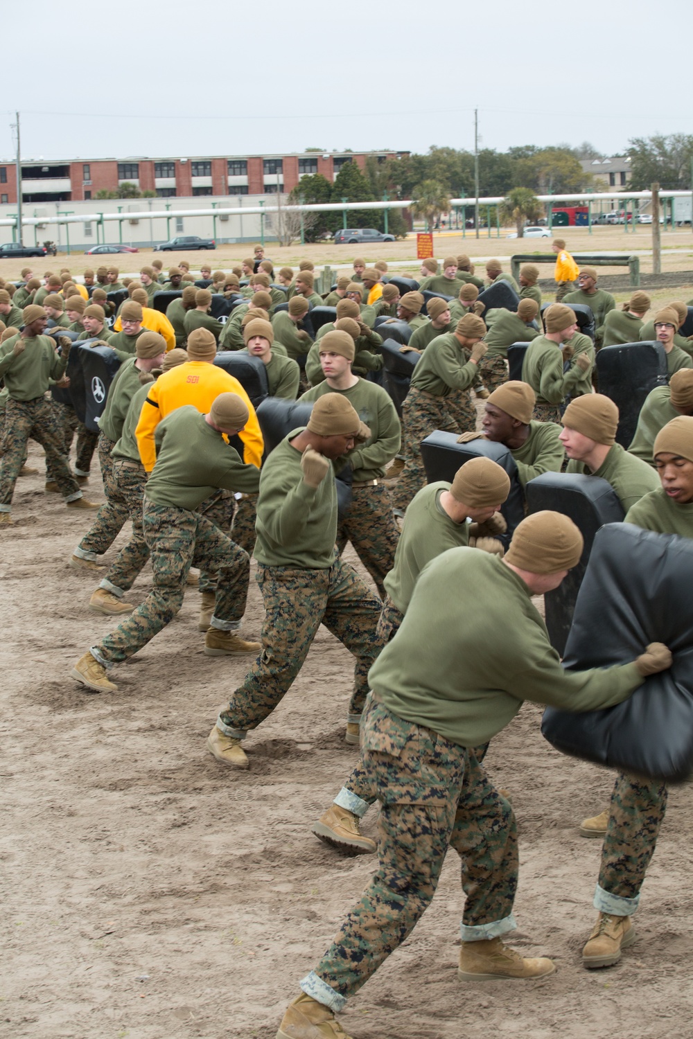 Parris Island recruits strike blows during Marine Corps martial arts training