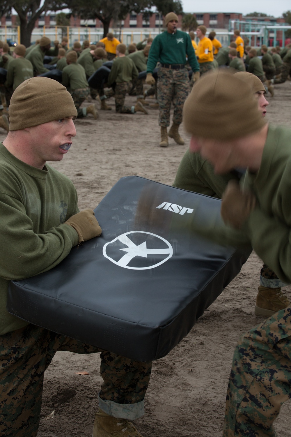 Parris Island recruits strike blows during Marine Corps martial arts training
