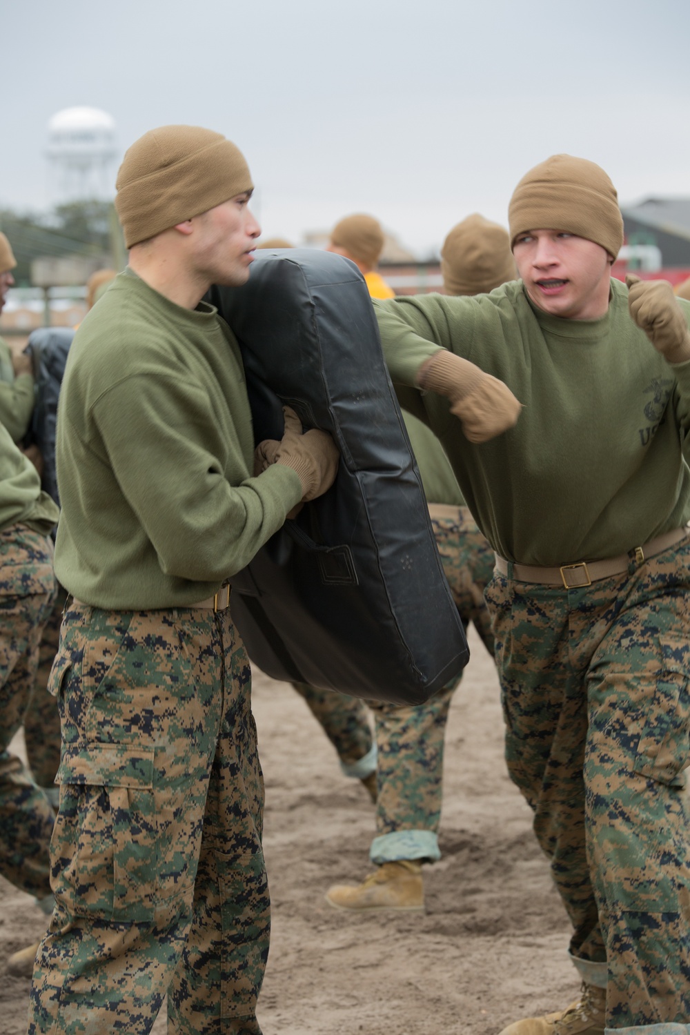 Parris Island recruits strike blows during Marine Corps martial arts training