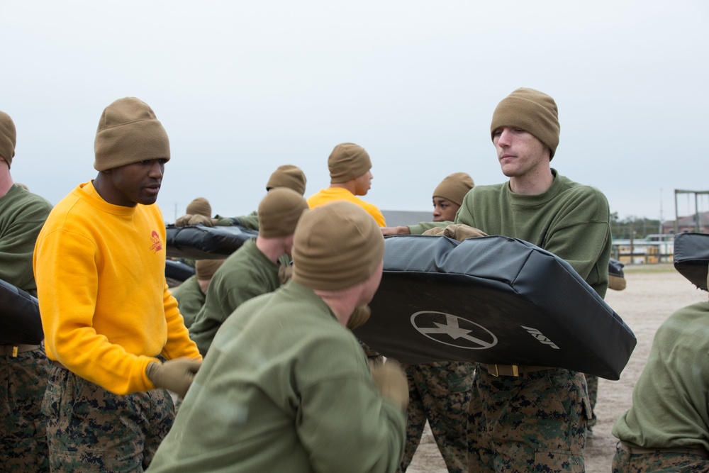 Parris Island recruits strike blows during Marine Corps martial arts training