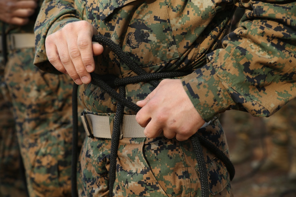 Photo Gallery: Marine recruits learn rappelling techniques on Parris Island