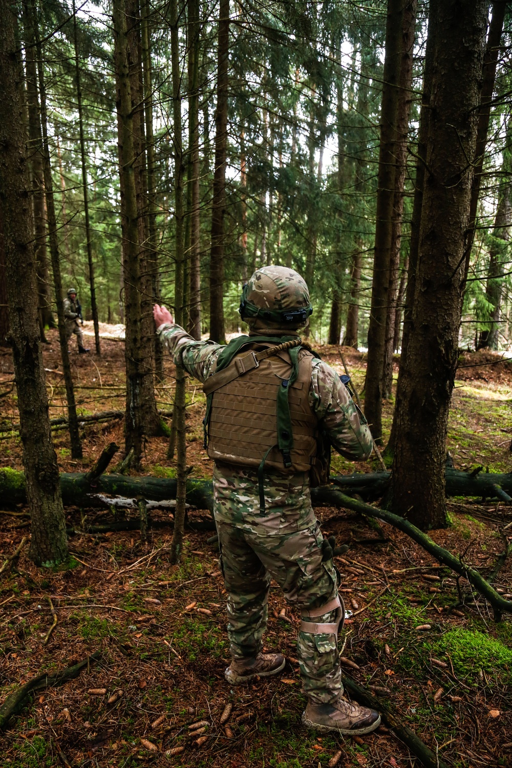 Georgian mission rehearsal exercise