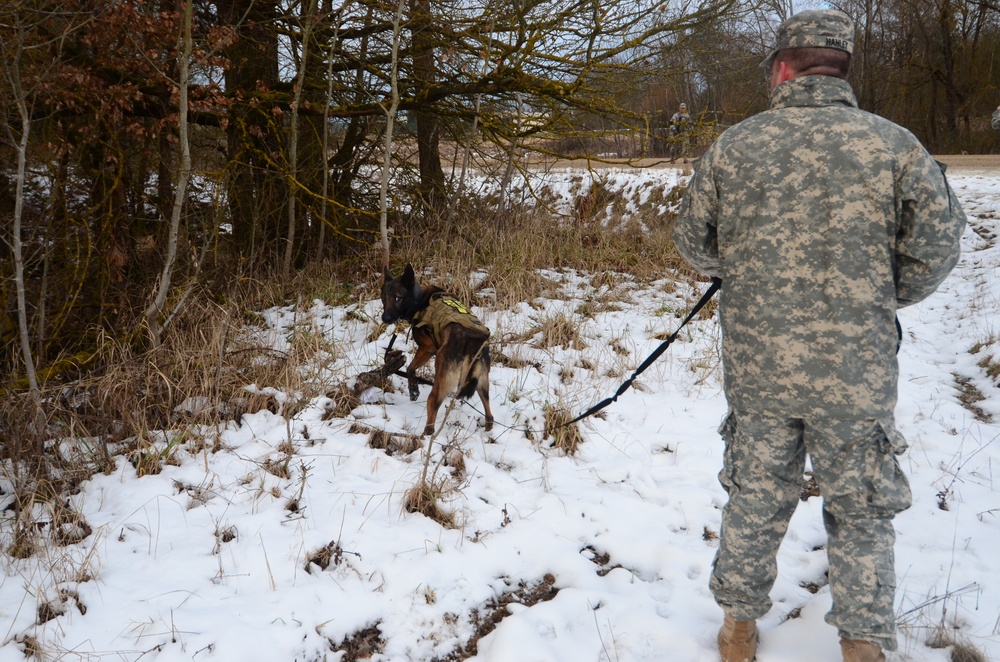Georgian mission rehearsal exercise