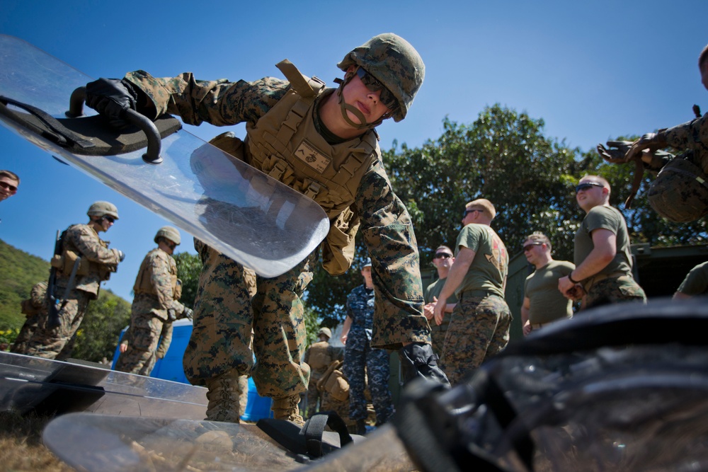 Exercise Cobra Gold 2014