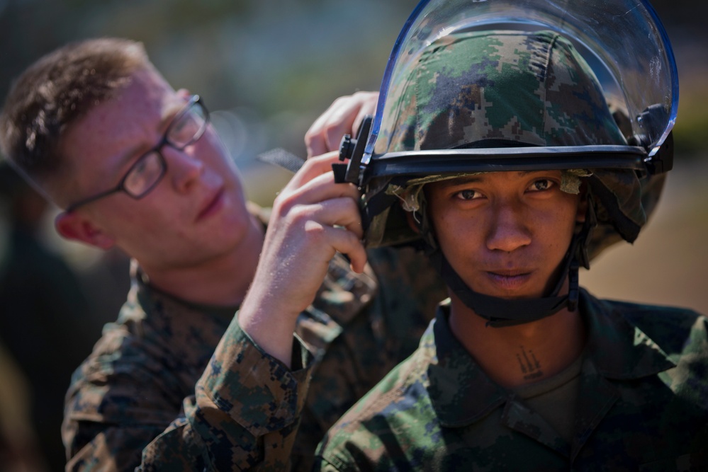 Exercise Cobra Gold 2014