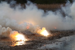 MWSS-271 Marines, Sailors train with EOD
