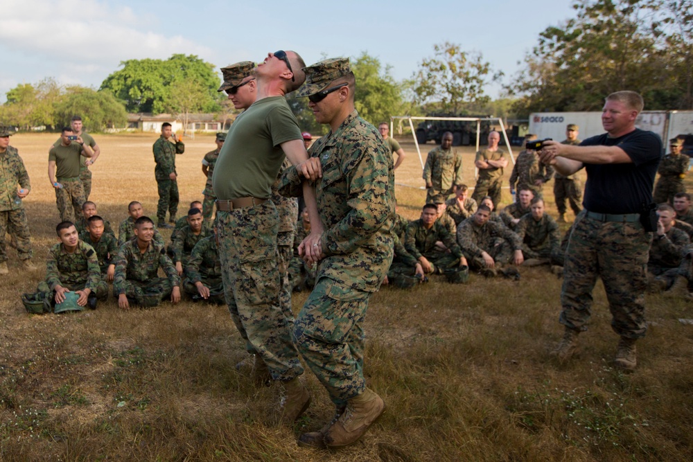 Exercise Cobra Gold 2014