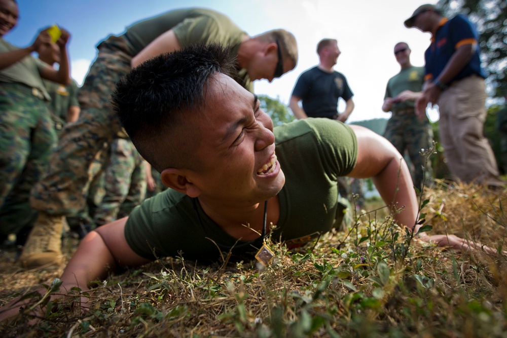 Exercise Cobra Gold 2014