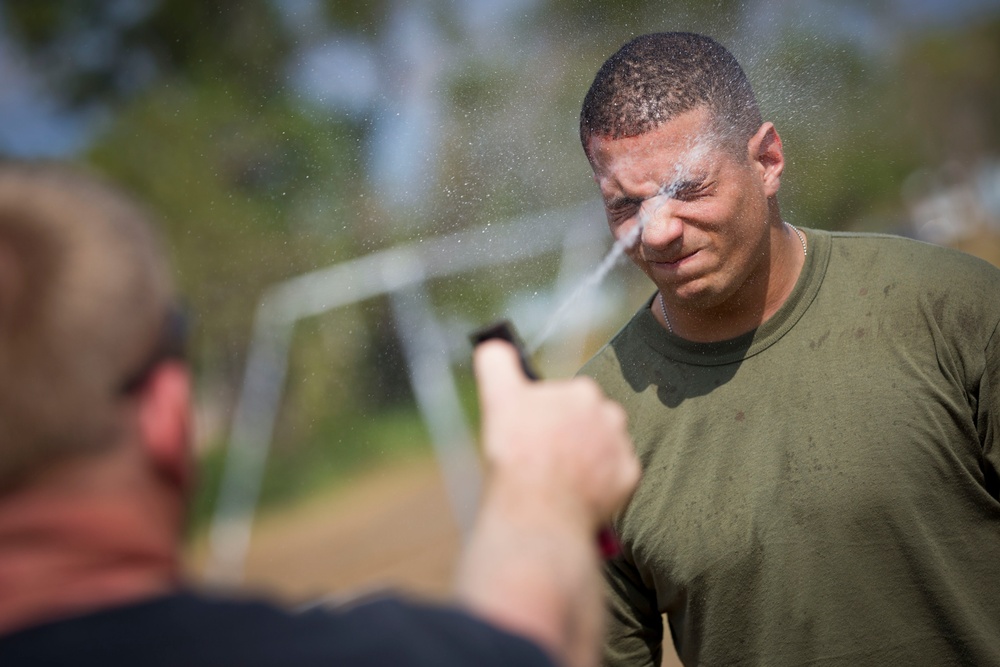 Exercise Cobra Gold 2014