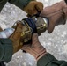 “Dragons” blaze through ground refueling, extend fight