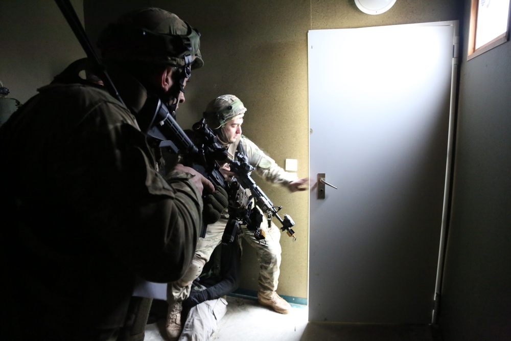 Georgian mission rehearsal exercise