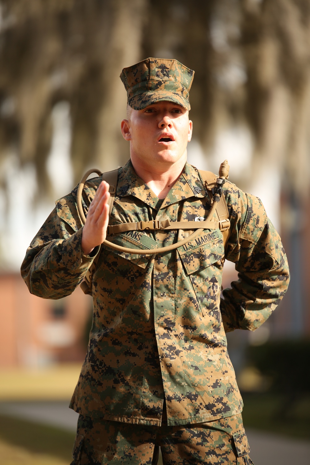 DVIDS Images Photo Gallery Legends Made At Parris Island Drill