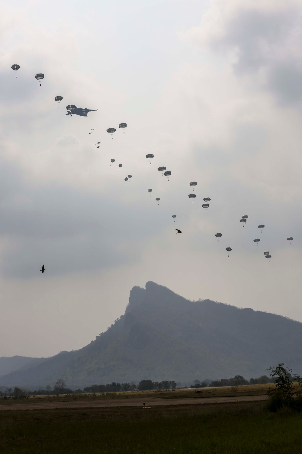 Combined Strategic Airdrop