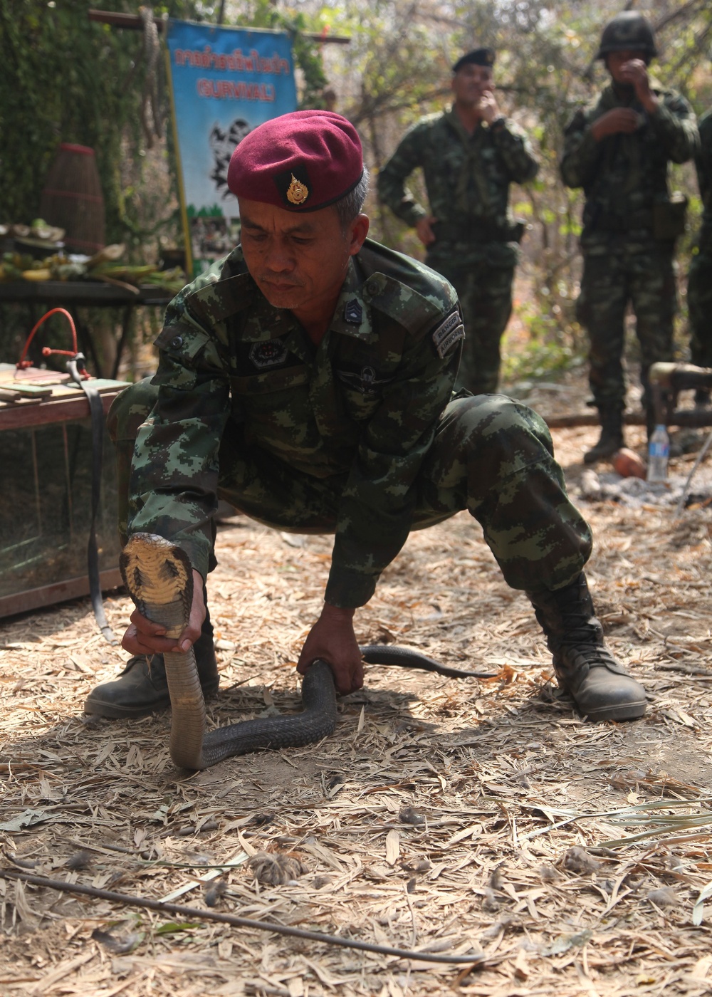 Jungle survival training challenges soldiers during CG 14