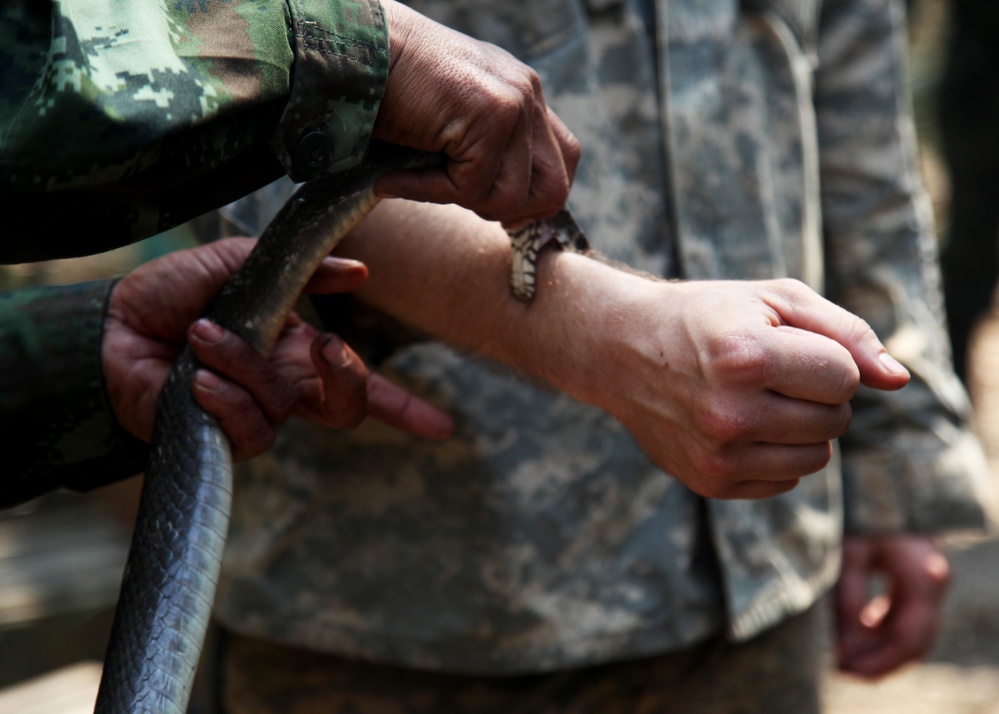 Jungle survival training challenges soldiers during CG 14