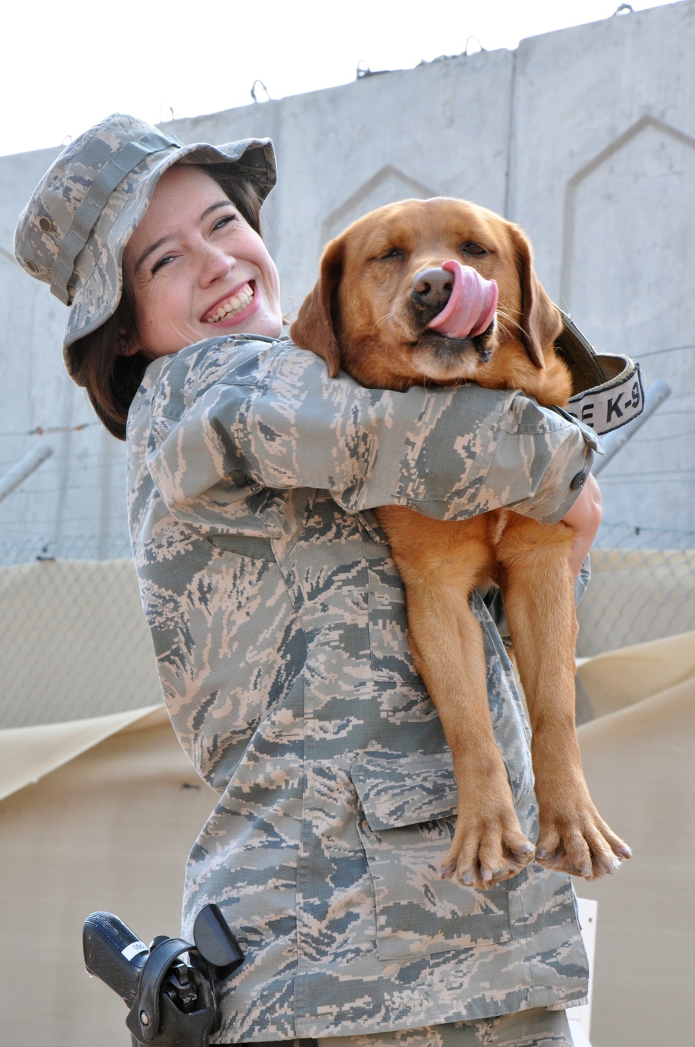 Former Marine military working dog finds new life, love in the Air Force