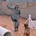 Former Marine military working dog finds new life, love in the Air Force