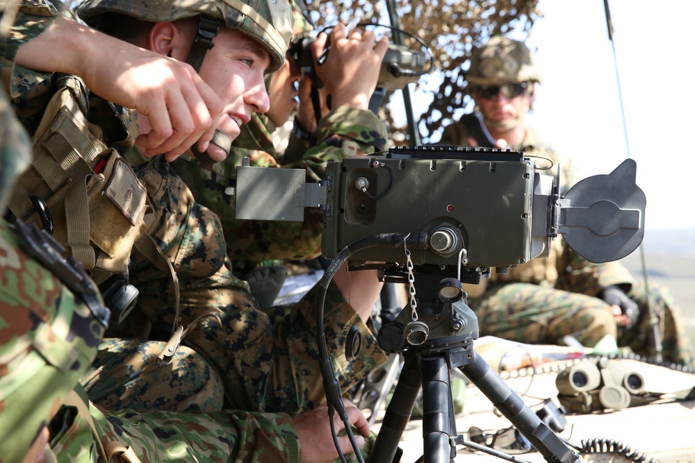 ANGLICO, JGSDF conduct training for Iron Fist