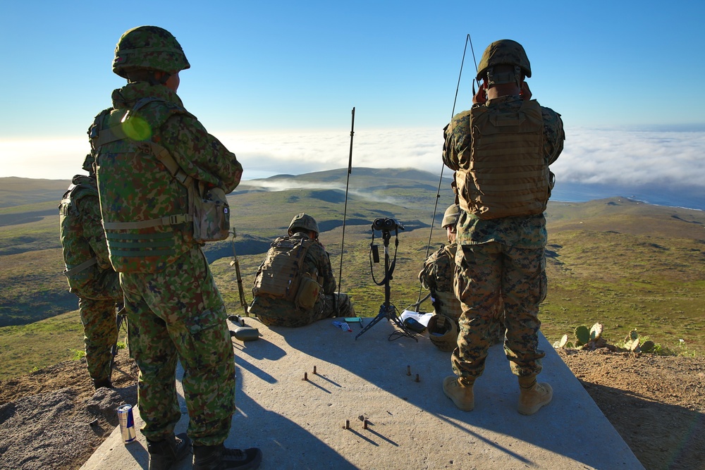 ANGLICO, JGSDF conduct training during Iron Fist