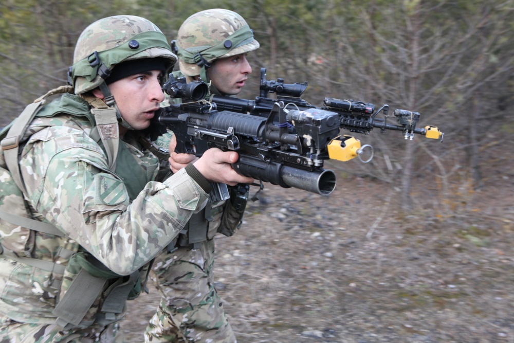 Georgian mission rehearsal exercise