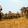 U.S. Marines take aim at improved accuracy alongside Royal Thai Marines U.S. Marines take aim at improved accuracy alongside Royal Thai Marines