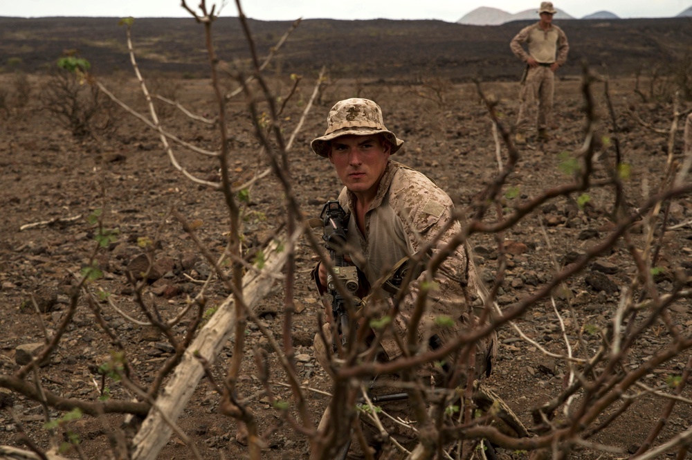 Platoon assault exercise