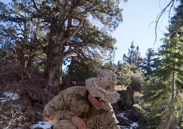 Mountain Warfare Training