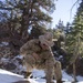 Mountain Warfare Training
