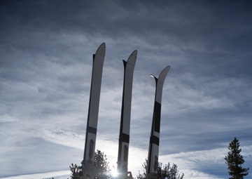 Mountain Warfare Training