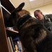 MWD searches for trace amount