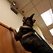 MWD searches for trace amount