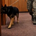 MWD searches for trace amount