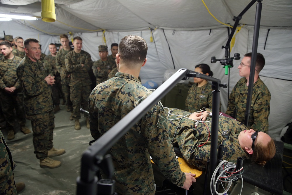 Alpha Surgical Co., 2nd Med. Bn. simulates deployed environment